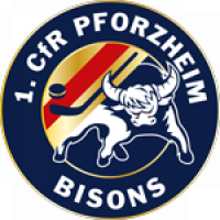 bisons logo 150