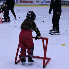 IMG 1477