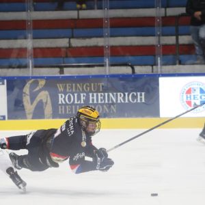 IMG 0685.JPG