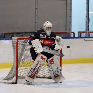IMG 0300.JPG