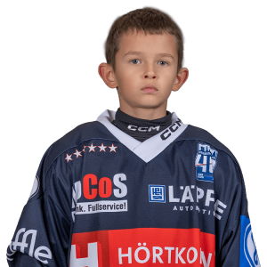 2016 manin ivan 2025 26